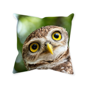 Throw Pillowscute Owl Throw Pillow | Soft Spun Polyester Cushion With Big Yellow Eyes | Cozy Home Decor Gift